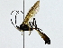  ( - BIOUG89952-F04)  @11 [ ] CreativeCommons - Attribution (2022) CBG Photography Group Centre for Biodiversity Genomics