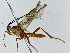  ( - BIOUG89952-F12)  @11 [ ] CreativeCommons - Attribution (2022) CBG Photography Group Centre for Biodiversity Genomics