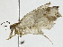  ( - BIOUG89952-H04)  @11 [ ] CreativeCommons - Attribution (2022) CBG Photography Group Centre for Biodiversity Genomics