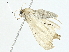  ( - BIOUG89953-B02)  @11 [ ] CreativeCommons - Attribution (2022) CBG Photography Group Centre for Biodiversity Genomics