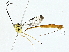  ( - BIOUG89953-C03)  @11 [ ] CreativeCommons - Attribution (2022) CBG Photography Group Centre for Biodiversity Genomics