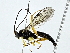  ( - BIOUG89953-E01)  @11 [ ] CreativeCommons - Attribution (2022) CBG Photography Group Centre for Biodiversity Genomics