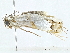  ( - BIOUG89953-G06)  @11 [ ] CreativeCommons - Attribution (2022) CBG Photography Group Centre for Biodiversity Genomics