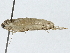  ( - BIOUG89999-F07)  @11 [ ] CreativeCommons - Attribution (2022) CBG Photography Group Centre for Biodiversity Genomics