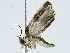  ( - BIOUG89999-G04)  @11 [ ] CreativeCommons - Attribution (2022) CBG Photography Group Centre for Biodiversity Genomics