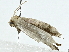  ( - BIOUG91361-A05)  @11 [ ] CreativeCommons - Attribution (2022) CBG Photography Group Centre for Biodiversity Genomics