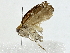  ( - BIOUG91361-B03)  @11 [ ] CreativeCommons - Attribution (2022) CBG Photography Group Centre for Biodiversity Genomics