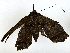  ( - BIOUG91361-E03)  @11 [ ] CreativeCommons - Attribution (2022) CBG Photography Group Centre for Biodiversity Genomics