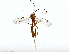  ( - BIOUG91361-G07)  @11 [ ] CreativeCommons - Attribution (2022) CBG Photography Group Centre for Biodiversity Genomics