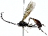  ( - BIOUG91361-G09)  @11 [ ] CreativeCommons - Attribution (2022) CBG Photography Group Centre for Biodiversity Genomics