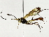  ( - BIOUG91361-H02)  @11 [ ] CreativeCommons - Attribution (2022) CBG Photography Group Centre for Biodiversity Genomics