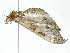  ( - BIOUG91362-H08)  @11 [ ] CreativeCommons - Attribution (2022) CBG Photography Group Centre for Biodiversity Genomics