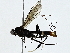  ( - BIOUG91363-A04)  @11 [ ] CreativeCommons - Attribution (2022) CBG Photography Group Centre for Biodiversity Genomics