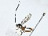  ( - BIOUG91363-B07)  @11 [ ] CreativeCommons - Attribution (2022) CBG Photography Group Centre for Biodiversity Genomics