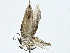  ( - BIOUG91363-D07)  @11 [ ] CreativeCommons - Attribution (2022) CBG Photography Group Centre for Biodiversity Genomics