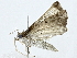  ( - BIOUG91363-E09)  @11 [ ] CreativeCommons - Attribution (2022) CBG Photography Group Centre for Biodiversity Genomics