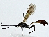  ( - BIOUG91363-F04)  @11 [ ] CreativeCommons - Attribution (2022) CBG Photography Group Centre for Biodiversity Genomics