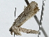  ( - BIOUG91364-B12)  @11 [ ] CreativeCommons - Attribution (2022) CBG Photography Group Centre for Biodiversity Genomics