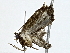  ( - BIOUG91364-C03)  @11 [ ] CreativeCommons - Attribution (2022) CBG Photography Group Centre for Biodiversity Genomics