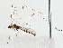  ( - BIOUG91364-E02)  @11 [ ] CreativeCommons - Attribution (2022) CBG Photography Group Centre for Biodiversity Genomics