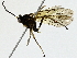  ( - BIOUG91365-C02)  @11 [ ] CreativeCommons - Attribution (2022) CBG Photography Group Centre for Biodiversity Genomics
