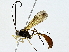  ( - BIOUG91365-C04)  @11 [ ] CreativeCommons - Attribution (2022) CBG Photography Group Centre for Biodiversity Genomics