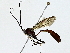  ( - BIOUG91365-C05)  @11 [ ] CreativeCommons - Attribution (2022) CBG Photography Group Centre for Biodiversity Genomics