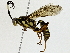  ( - BIOUG91365-D01)  @11 [ ] CreativeCommons - Attribution (2022) CBG Photography Group Centre for Biodiversity Genomics