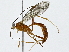  ( - BIOUG91365-D07)  @11 [ ] CreativeCommons - Attribution (2022) CBG Photography Group Centre for Biodiversity Genomics