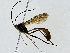  ( - BIOUG91365-D12)  @11 [ ] CreativeCommons - Attribution (2022) CBG Photography Group Centre for Biodiversity Genomics