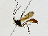  ( - BIOUG91365-E01)  @11 [ ] CreativeCommons - Attribution (2022) CBG Photography Group Centre for Biodiversity Genomics