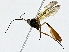  ( - BIOUG91365-E05)  @11 [ ] CreativeCommons - Attribution (2022) CBG Photography Group Centre for Biodiversity Genomics