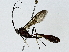  ( - BIOUG91365-E11)  @11 [ ] CreativeCommons - Attribution (2022) CBG Photography Group Centre for Biodiversity Genomics