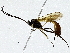  ( - BIOUG91365-F07)  @11 [ ] CreativeCommons - Attribution (2022) CBG Photography Group Centre for Biodiversity Genomics