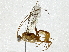  ( - BIOUG91365-H08)  @11 [ ] CreativeCommons - Attribution (2022) CBG Photography Group Centre for Biodiversity Genomics