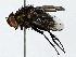  ( - BIOUG91366-A12)  @11 [ ] CreativeCommons - Attribution (2022) CBG Photography Group Centre for Biodiversity Genomics