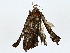  ( - BIOUG91367-B07)  @11 [ ] CreativeCommons - Attribution (2022) CBG Photography Group Centre for Biodiversity Genomics