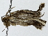  ( - BIOUG91367-D12)  @11 [ ] CreativeCommons - Attribution (2022) CBG Photography Group Centre for Biodiversity Genomics