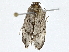  ( - BIOUG91367-E06)  @11 [ ] CreativeCommons - Attribution (2022) CBG Photography Group Centre for Biodiversity Genomics