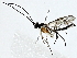  ( - BIOUG91367-F06)  @11 [ ] CreativeCommons - Attribution (2022) CBG Photography Group Centre for Biodiversity Genomics