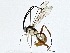  ( - BIOUG91367-F07)  @11 [ ] CreativeCommons - Attribution (2022) CBG Photography Group Centre for Biodiversity Genomics