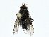  ( - BIOUG91368-E04)  @11 [ ] CreativeCommons - Attribution (2022) CBG Photography Group Centre for Biodiversity Genomics