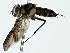  ( - BIOUG91393-B11)  @11 [ ] CreativeCommons - Attribution (2022) CBG Photography Group Centre for Biodiversity Genomics