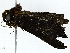  ( - BIOUG91395-E05)  @11 [ ] CreativeCommons - Attribution (2022) CBG Photography Group Centre for Biodiversity Genomics