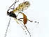  ( - BIOUG91396-B11)  @11 [ ] CreativeCommons - Attribution (2022) CBG Photography Group Centre for Biodiversity Genomics