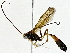  ( - BIOUG91396-C02)  @11 [ ] CreativeCommons - Attribution (2022) CBG Photography Group Centre for Biodiversity Genomics