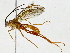  ( - BIOUG91396-F02)  @11 [ ] CreativeCommons - Attribution (2022) CBG Photography Group Centre for Biodiversity Genomics