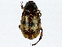  ( - BIOUG91396-F07)  @11 [ ] CreativeCommons - Attribution (2022) CBG Photography Group Centre for Biodiversity Genomics