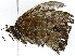  ( - BIOUG91397-E05)  @11 [ ] CreativeCommons - Attribution (2022) CBG Photography Group Centre for Biodiversity Genomics