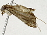  (cramMalaise01 Malaise4427 - BIOUG91398-F01)  @11 [ ] CreativeCommons - Attribution (2022) CBG Photography Group Centre for Biodiversity Genomics